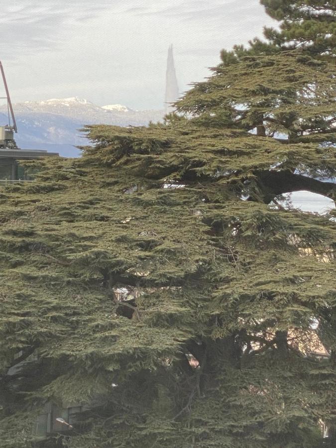 Genève, plein centre,belle vue Lac, splendide et grand appartement Extérieur photo